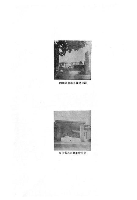 《名山县供销合作社志》.pdf电子版_四川省志插图4 《名山县供销合作社志》.pdf电子版_四川省志插图4