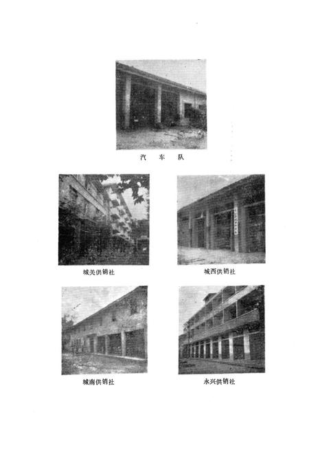 《名山县供销合作社志》.pdf电子版_四川省志插图5 《名山县供销合作社志》.pdf电子版_四川省志插图5