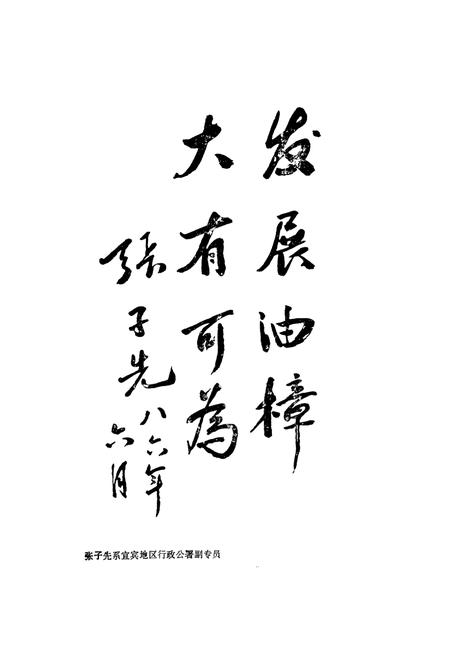 《宜宾县油樟志》.pdf电子版_四川省志插图1