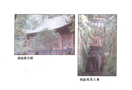 《眉山县文物志》.pdf电子版_四川省志插图3