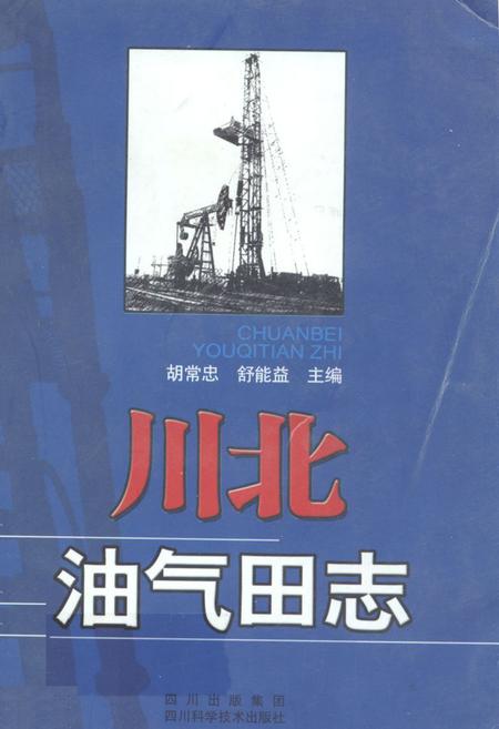《川北油气田志》.pdf电子版_四川省志插图