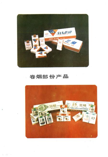 《什邡卷烟厂厂志》.pdf电子版_四川省志插图4