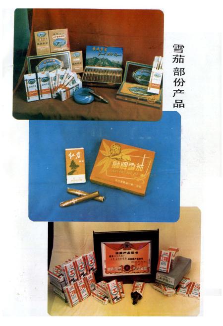 《什邡卷烟厂厂志》.pdf电子版_四川省志插图5