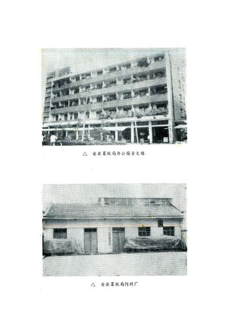 《安县畜牧志》.pdf电子版_四川省志插图4