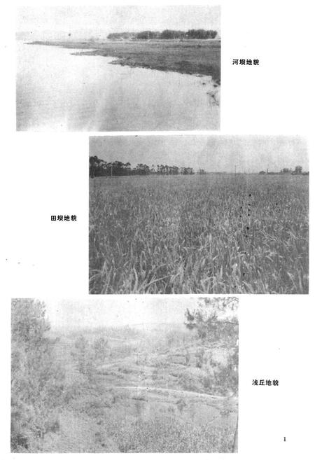 《眉山县农业局志》.pdf电子版_四川省志插图2