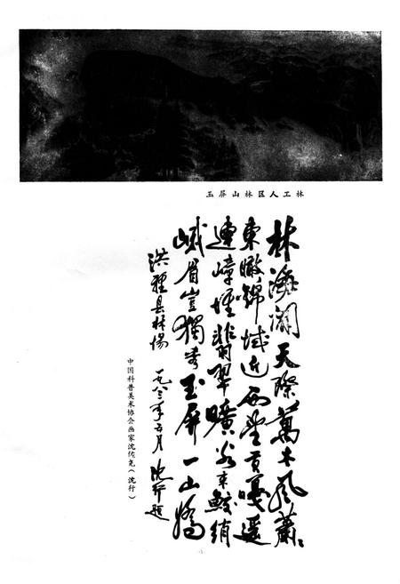 《洪雅县林业志》.pdf电子版_四川省志插图2