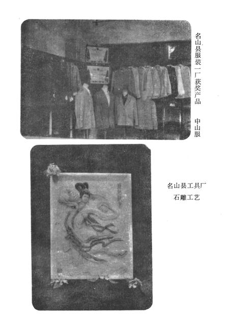 《名山县手工业志》.pdf电子版_四川省志插图3