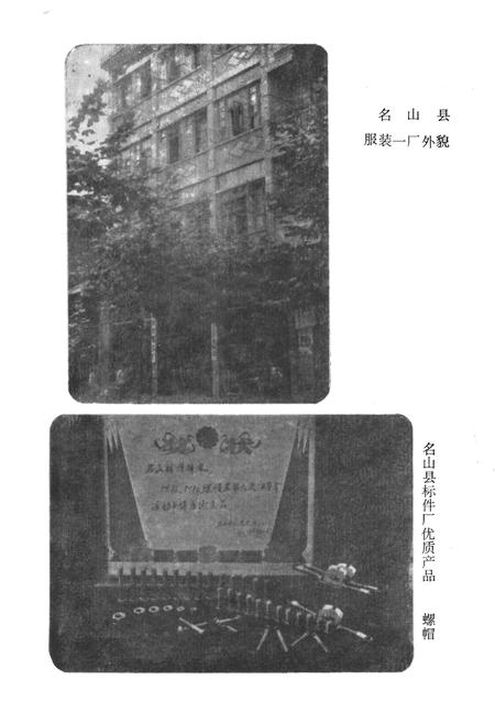 《名山县手工业志》.pdf电子版_四川省志插图4