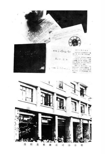 《简阳县棉麻公司志》.pdf电子版_四川省志插图4