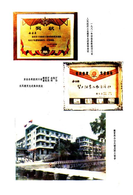 《安岳县教育志(1897-1985)》.pdf电子版_四川省志插图4