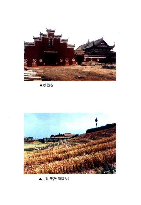 《内江市东兴区国土志(1940-1997)》.pdf电子版_四川省志插图5
