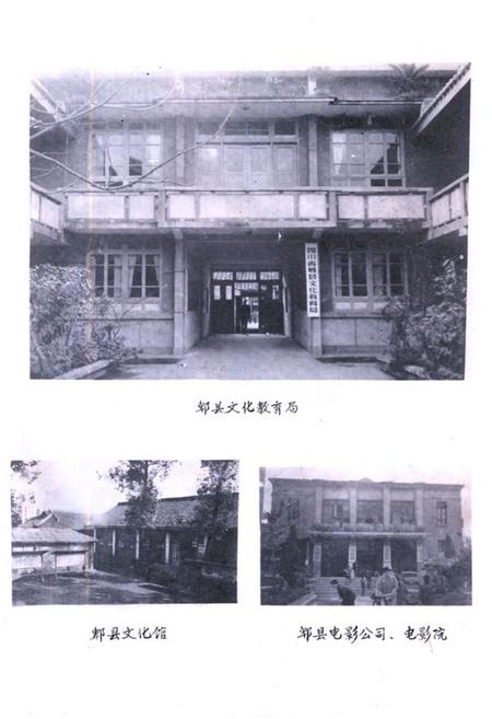 《郫县文化志》.pdf电子版_四川省志插图2