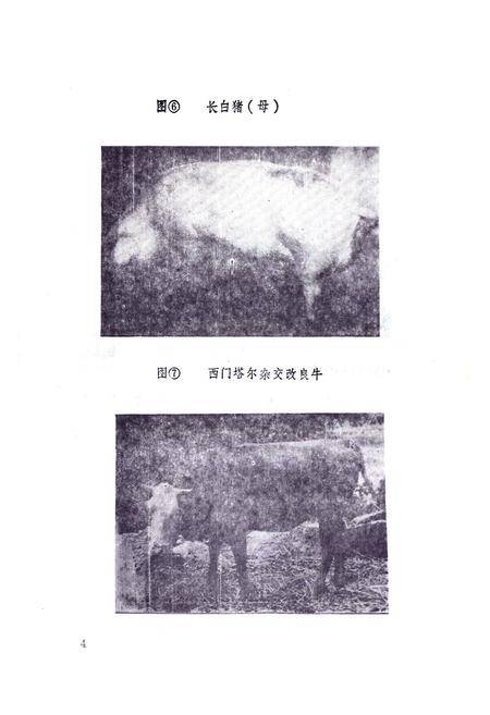 《旺苍县畜牧志》.pdf电子版_四川省志插图5