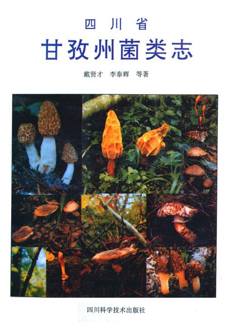 《四川省甘孜州菌类志》.pdf电子版_四川省志插图