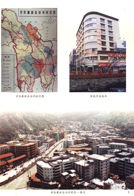 《甘孜藏族自治州畜牧志》.pdf电子版_四川省志插图2