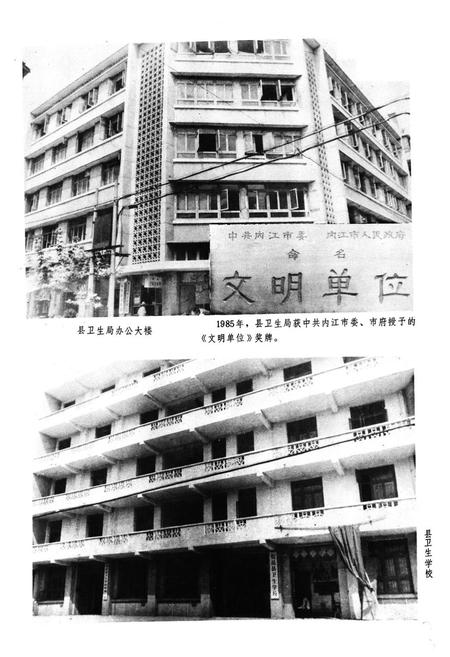 《安岳县卫生志644-1985》.pdf电子版_四川省志插图4