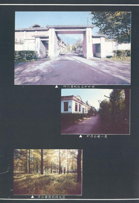 《四川省蛇纹石矿矿志1950-1990》.pdf电子版_四川省志插图2