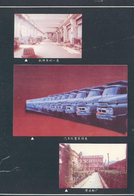 《四川省蛇纹石矿矿志1950-1990》.pdf电子版_四川省志插图4
