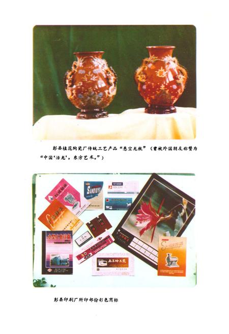 《彭县工业局志》.pdf电子版_四川省志插图3