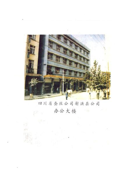 《射洪乡蚕丝志》.pdf电子版_四川省志插图2