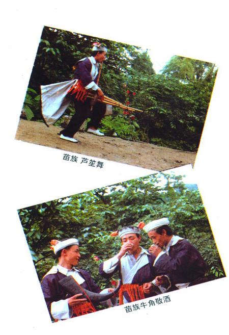 《古蔺县民族志》.pdf电子版_四川省志插图5