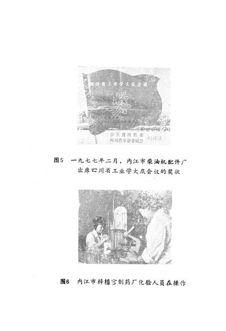 《内江市机关志专辑第三工业局志》.pdf电子版_四川省志插图4