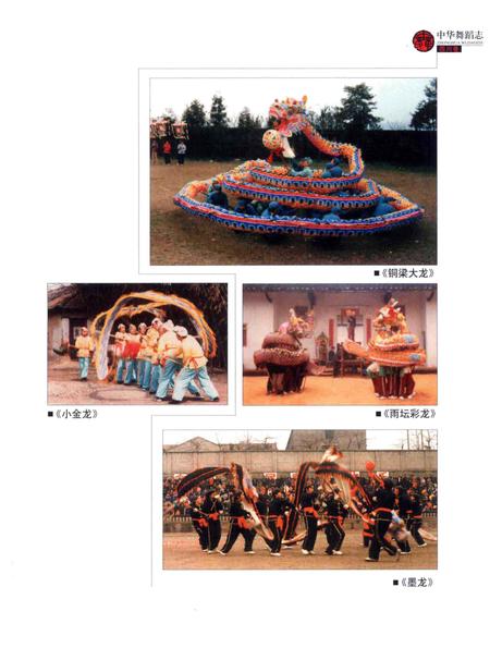 《中华舞蹈志·四川卷》.pdf电子版_四川省志插图3