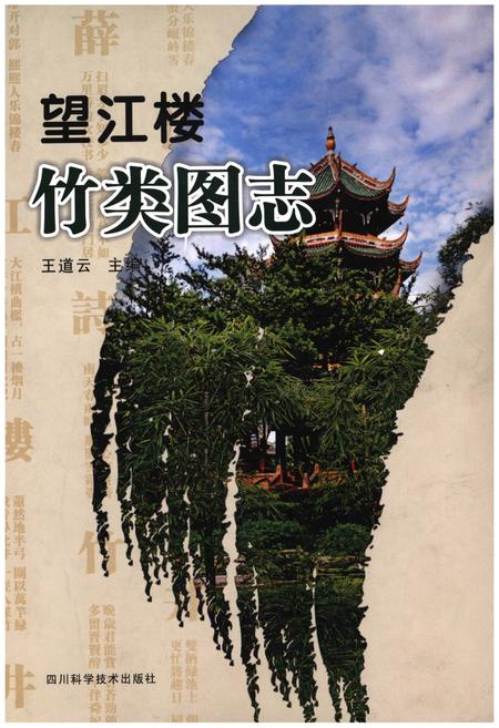 《望江楼竹类图志》.pdf电子版_四川省志插图