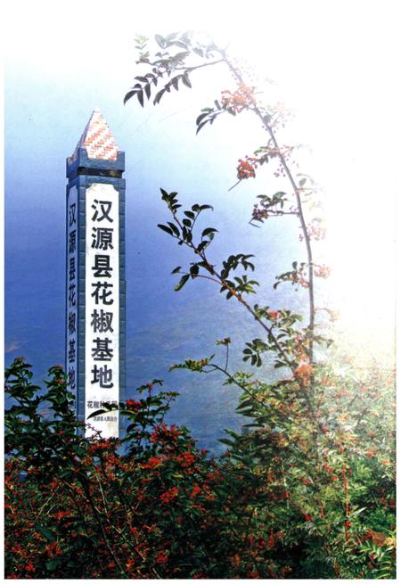 《汉源简志1786-2013》.pdf电子版_四川省志插图4