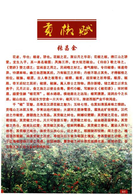 《汉源简志1786-2013》.pdf电子版_四川省志插图5