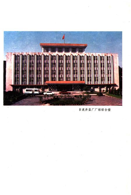 《自流井盐厂志》.pdf电子版_四川省志插图4