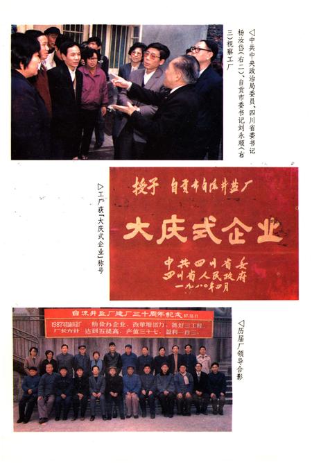 《自流井盐厂志》.pdf电子版_四川省志插图5