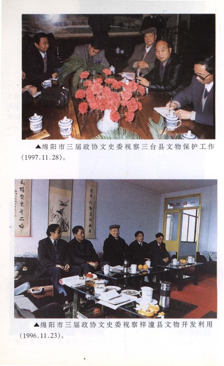 《绵阳文史资料 第十六辑》.pdf电子版_四川省志插图5