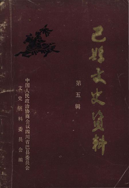 《巴县文史资料 第五辑》.pdf电子版_四川省志插图