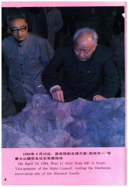 《自贡恐龙化石志》.pdf电子版_四川省志插图5
