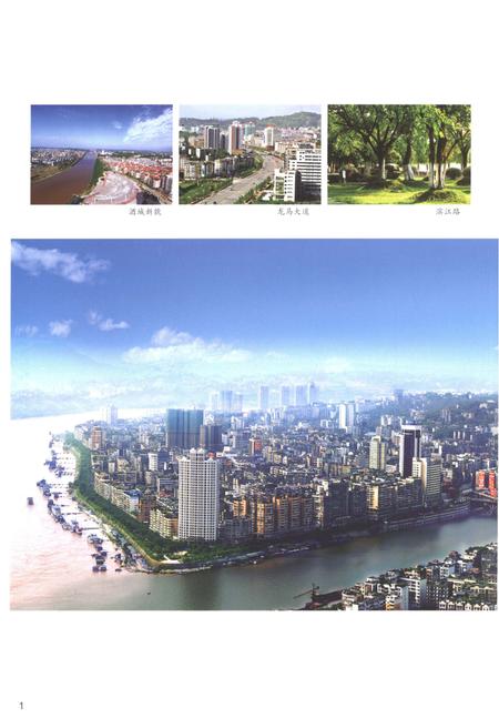 《泸州市人民政府志1991-2010》.pdf电子版_四川省志插图3