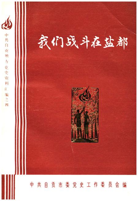 《我们战斗在盐都 上》.pdf电子版_四川省志