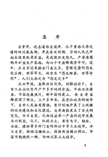 《我们战斗在盐都 上》.pdf电子版_四川省志插图2 《我们战斗在盐都 上》.pdf电子版_四川省志插图2