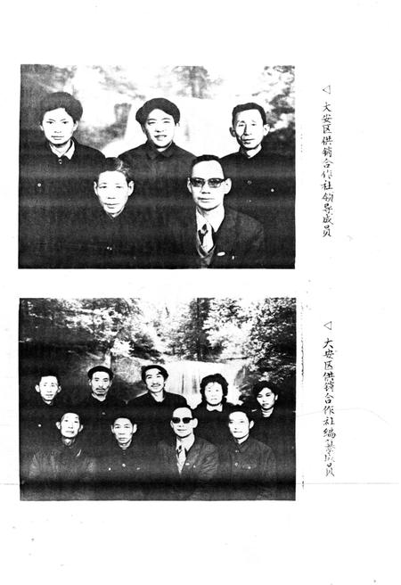 《大安区供销合作志》.pdf电子版_四川省志插图2