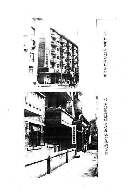 《大安区供销合作志》.pdf电子版_四川省志插图3