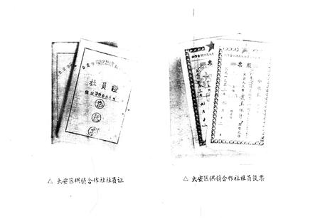 《大安区供销合作志》.pdf电子版_四川省志插图4