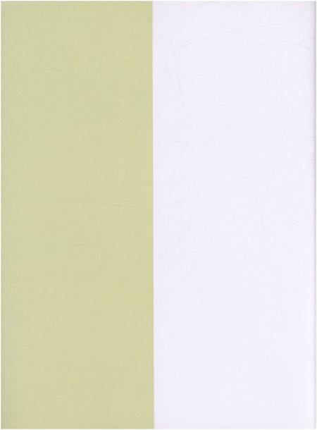 《石井村志》.pdf电子版_四川省志插图1 《石井村志》.pdf电子版_四川省志插图1