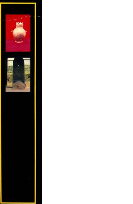 《雅安地区文物志》.pdf电子版_四川省志插图1 《雅安地区文物志》.pdf电子版_四川省志插图1