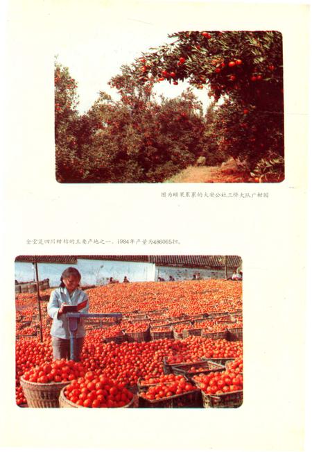 《四川省金堂县地名志》.pdf电子版_四川省志插图2