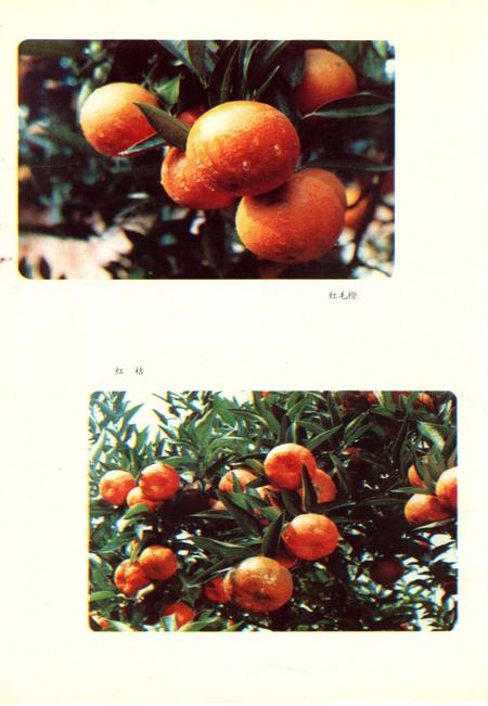 《四川省金堂县地名志》.pdf电子版_四川省志插图3