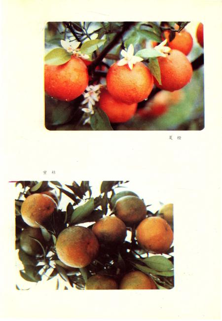 《四川省金堂县地名志》.pdf电子版_四川省志插图4