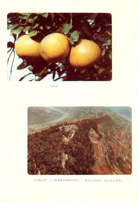 《四川省金堂县地名志》.pdf电子版_四川省志插图5