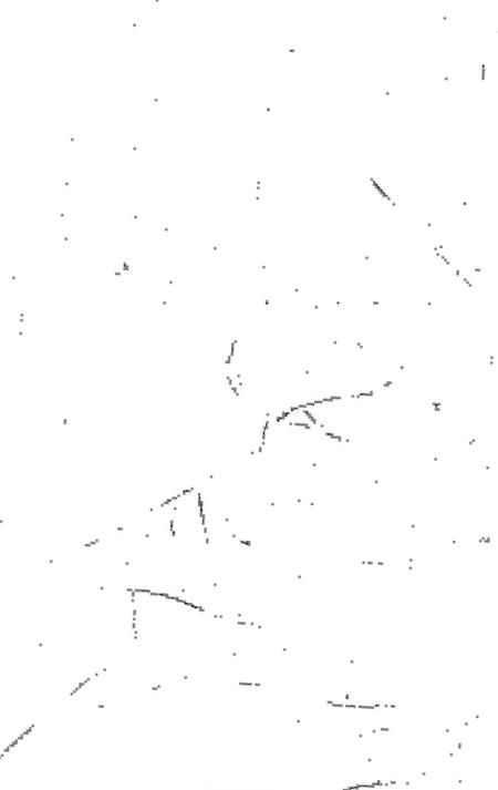 《鯉鱼潭自然誌》.pdf电子版_台湾省志插图4 《鯉鱼潭自然誌》.pdf电子版_台湾省志插图4