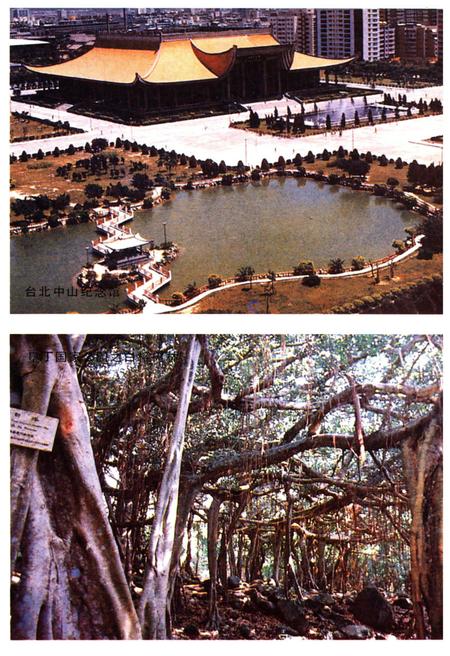 《台湾风物志》.pdf电子版_台湾省志插图4 《台湾风物志》.pdf电子版_台湾省志插图4