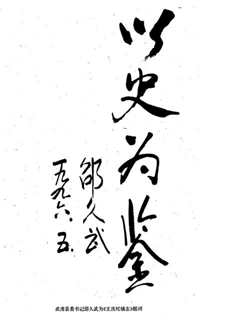 《武清县 王庆坨镇志》.pdf电子版_天津市志插图5 《武清县 王庆坨镇志》.pdf电子版_天津市志插图5